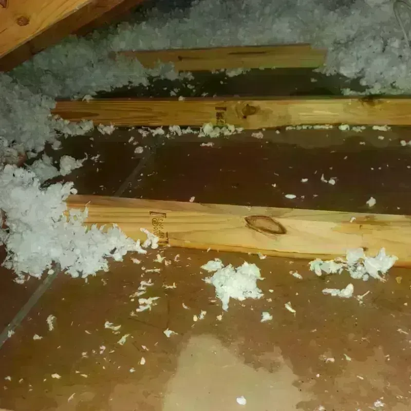 Attic Water Damage in White River, SD