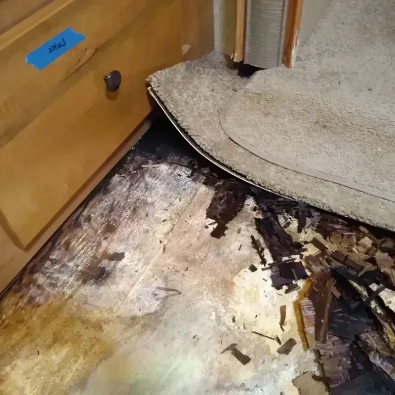 Wood Floor Water Damage in White River, SD